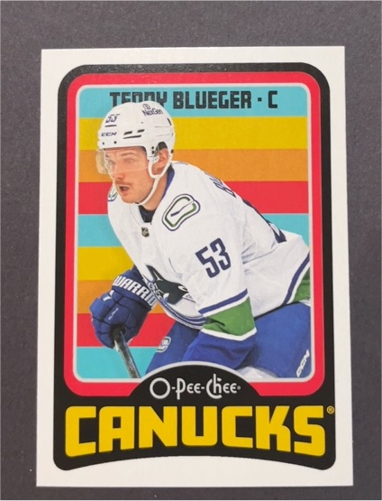 2024-25 O-Pee-Chee #257 Terry Blueger — front