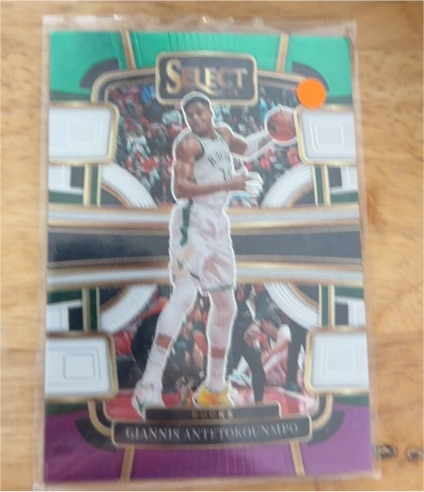 2023-24 Panini Select #24 Giannis Antetokounmpo — front