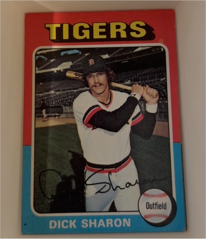 1975 Topps #293 Dick Sharon — front