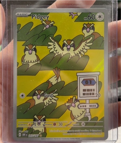 2023 Pokémon SV03: Obsidian Flames #207 Pidgey — front