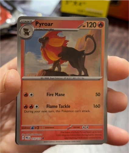 2025 Pokémon Prismatic Evolutions #016 Pyroar — front
