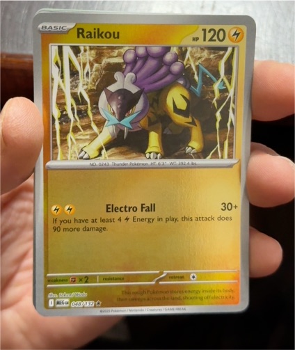 2025 Pokémon Mega Evolution #048 Raikou — front