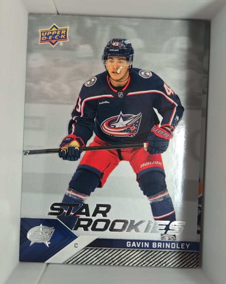 2024-25 Upper Deck Star Rookies #6 Gavin Brindley — front