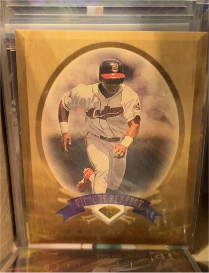 1996 Leaf Picture Perfect #8 Albert Belle — front