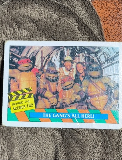 1990 Topps Teenage Mutant Ninja Turtles #132 The Gang's All Here — front