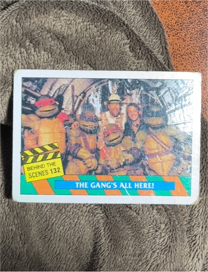 1990 Topps Teenage Mutant Ninja Turtles Movie #132 The Gang's All Here! — front