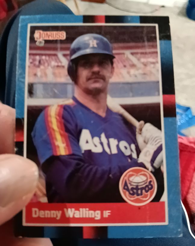 1988 Donruss #384 Denny Walling — front