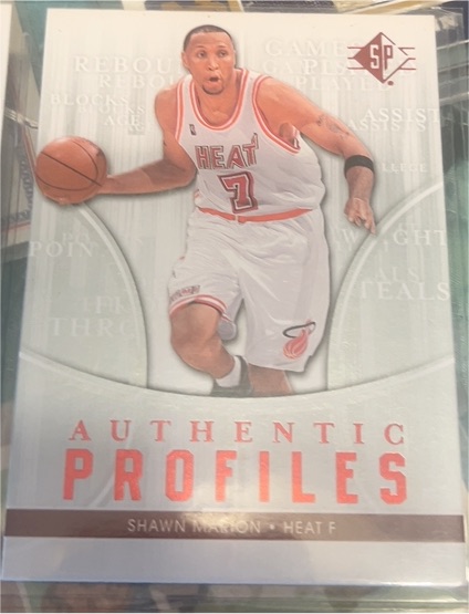 2008-09 Upper Deck SP Authentic Profiles #AP-28 Shawn Marion — front