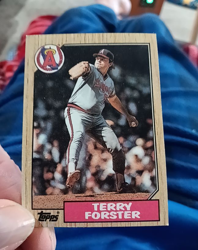 1987 Topps #652 Terry Forster — front