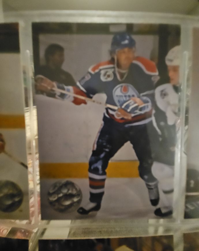 1991 Pro Set Platinum Performer #173 Scott Mellanby — front