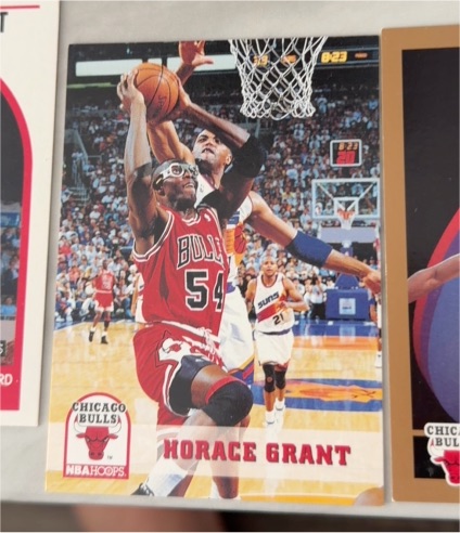 1993-94 NBA Hoops #27 Horace Grant — front