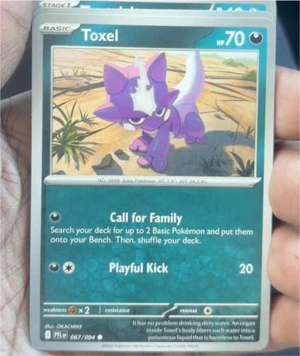 2025 Pokemon Phantasmal Flames #067 Toxel — front
