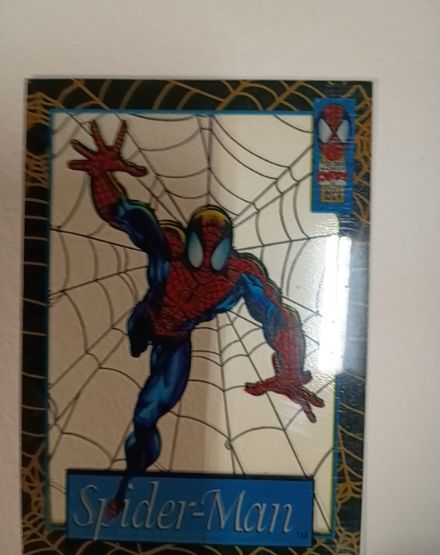 1994 Fleer Marvel The Amazing Spider-Man Suspended Animation #10 Spider-Man — front