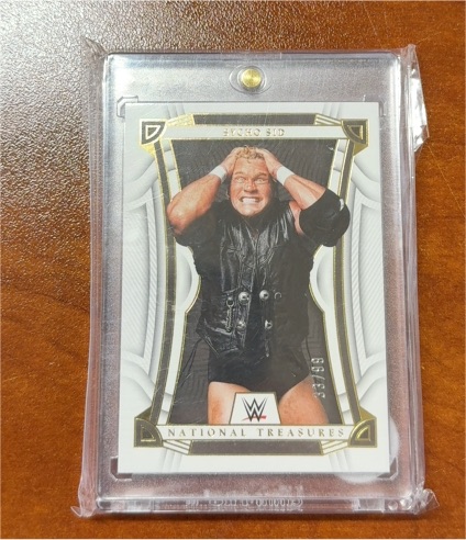 2023 Panini Chronicles WWE National Treasures #NT-25 Sycho Sid — front