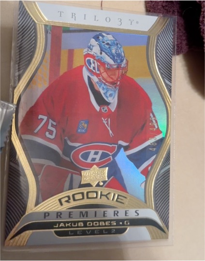 2024-25 Upper Deck Trilogy Rookie Premieres Level 2 #443 Jakub Dobes — front