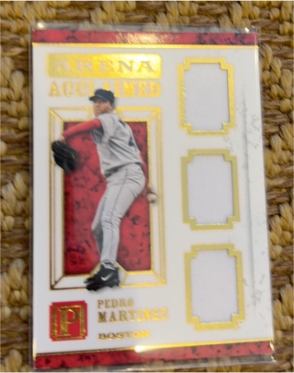 2016 Panini Pantheon Arena Acclaimed Triple Relic #AA-PM Pedro Martinez — front
