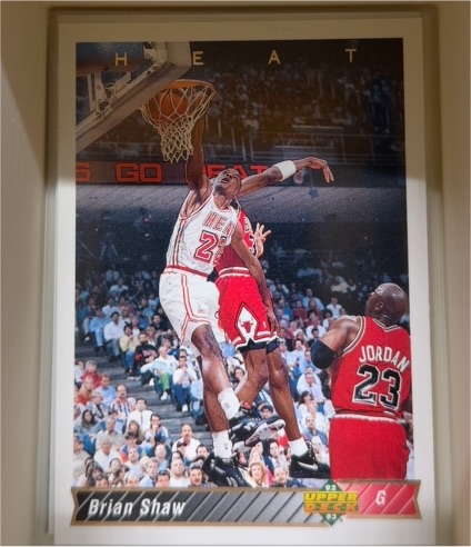 1992-93 Upper Deck #189 Brian Shaw — front