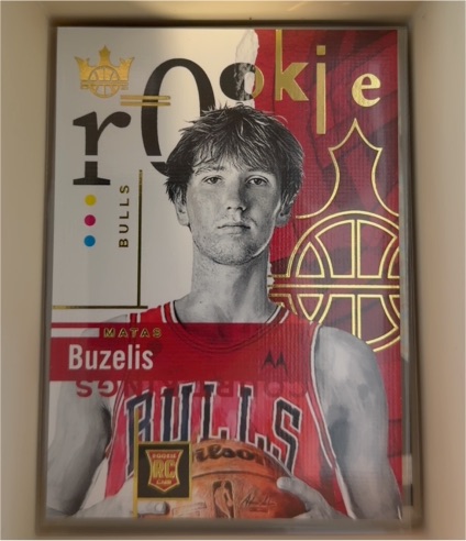 2024-25 Panini Court Kings #108 Matas Buzelis — front