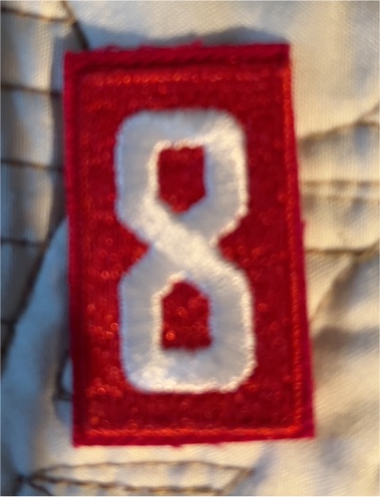 BSA Boy Scout Troop Number 8 Patch — front