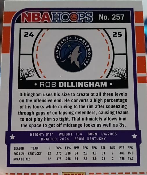 2024-25 Panini NBA Hoops #257 Rob Dillingham — front