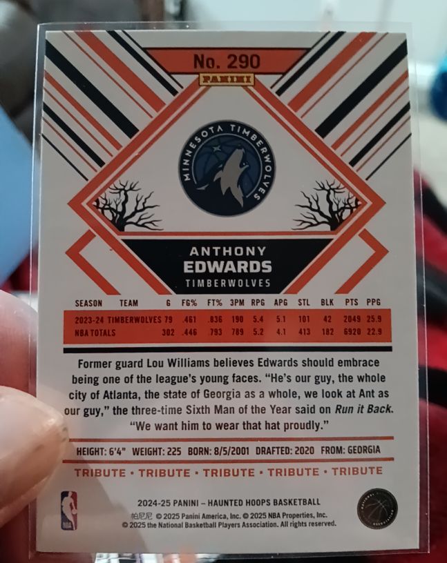 2024-25 Panini Haunted Hoops #290 Anthony Edwards — front