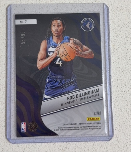 2024-25 Panini Revolution #7 Rob Dillingham — front