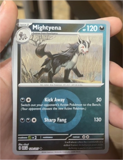 2024 Pokémon Scarlet & Violet Temporal Forces #106 Mightyena — front