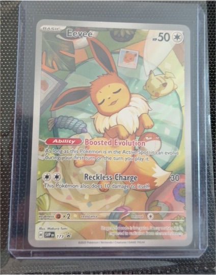2023 Pokémon SV: Scarlet & Violet Promo #173 Eevee — front
