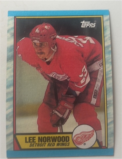1989-90 Topps #75 Lee Norwood Detroit Red Wings — front