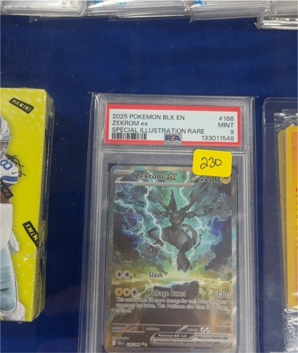 2025 Pokemon Black Bolt #166 Zekrom ex Special Illustration Rare — front