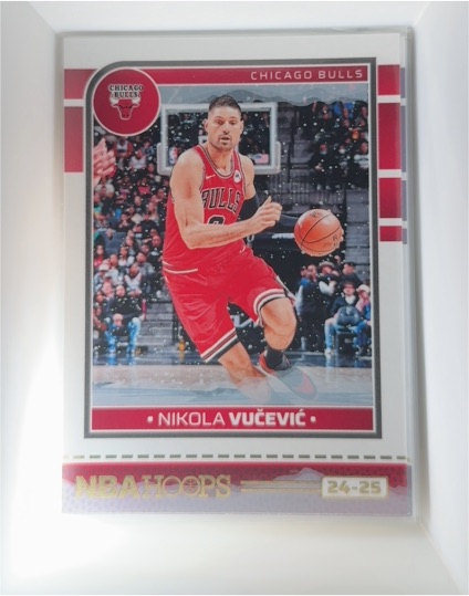 2024-25 Panini NBA Hoops #119 Nikola Vucevic — front