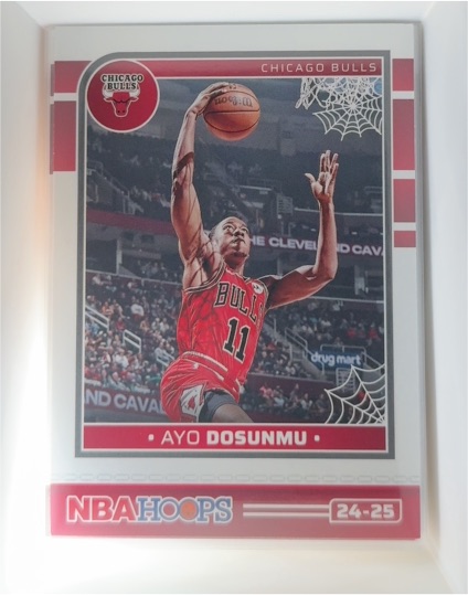 2024-25 Panini Haunted Hoops #171 Ayo Dosunmu — front