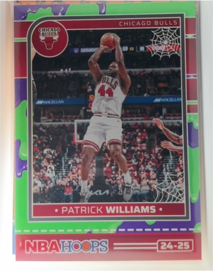 2024-25 Panini Hoops Haunted Hoops #18 Patrick Williams — front
