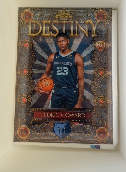 2025-26 Topps Chrome #D-10 Cedric Coward Destiny RC — front