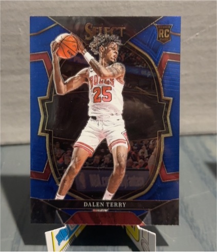 2022-23 Panini Select #89 Dalen Terry — front