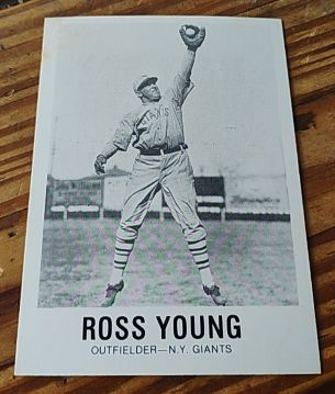 1980 TCMA Renata Galasso #131 Ross Young — front