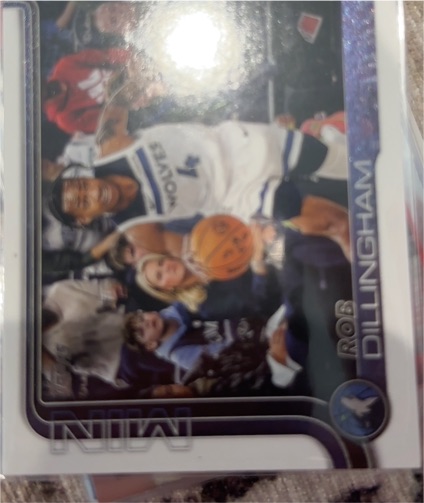 2025-26 Topps #114 Rob Dillingham — front