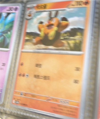 2023 Pokémon Sword & Shield #070 Geese — front