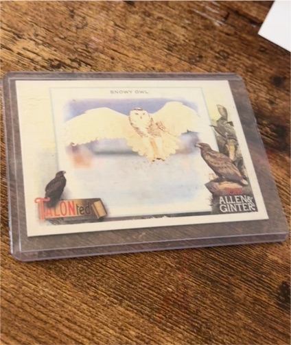 2023 Topps Allen & Ginter #TT-8 Snowy Owl Talonted — front