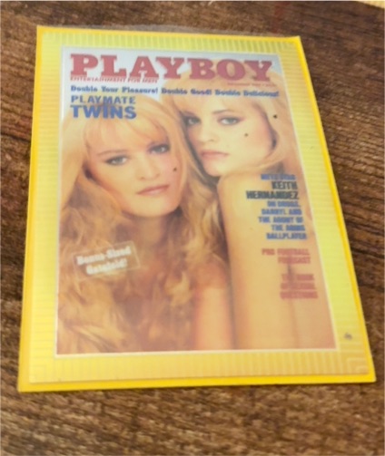 1995 Playboy Chromium Cover Cards #83 Mirjam & Karin van Breeschooten — front