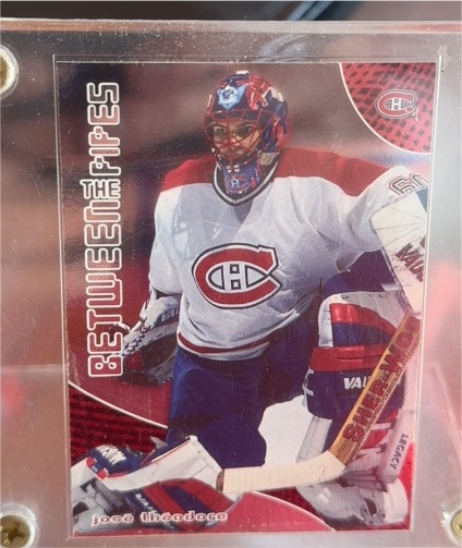 2001-02 Be a Player Between the Pipes #44 Jose Theodore — front