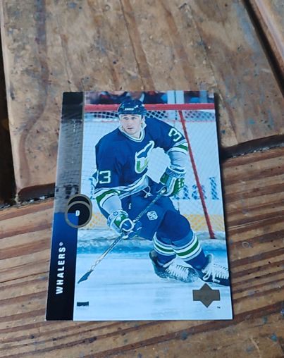 1994-95 Upper Deck #D Bret Hedican — front