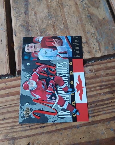 1994-95 Upper Deck #500 Todd Harvey — front