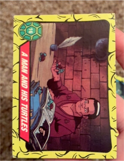 1989 Topps Teenage Mutant Ninja Turtles #16 A Man and His Turtles — front