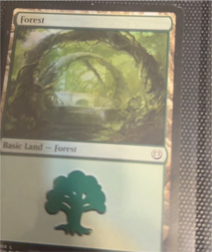 Magic: The Gathering Forest #39 Ajani vs Nicol Bolas — front