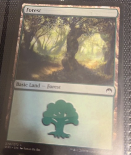 2011 Magic: The Gathering #248 Forest — front