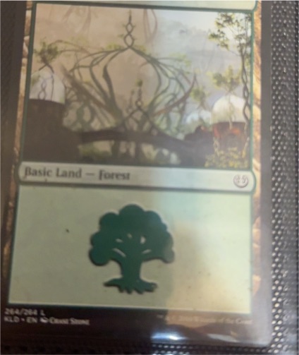2020 Magic: The Gathering Kaldheim #264 Forest — front