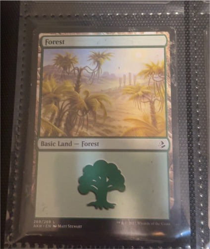 2017 Magic: The Gathering Amonkhet #268 Forest — front