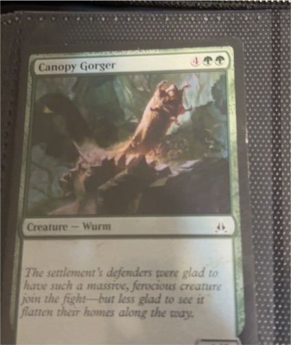 Magic: The Gathering Canopy Gorger — front