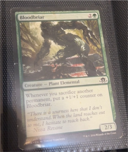 2014 Magic: The Gathering #205 Bloodbriar — front